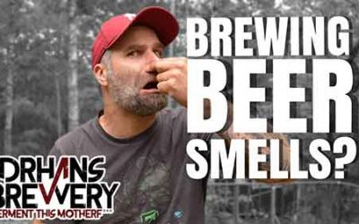 Does Brewing Your Own Beer Smell?