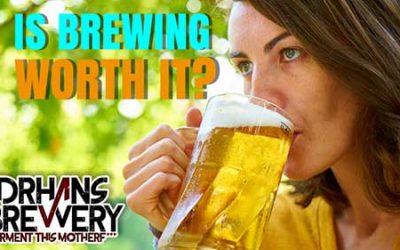 Is Homebrewing Worth it in 2024?