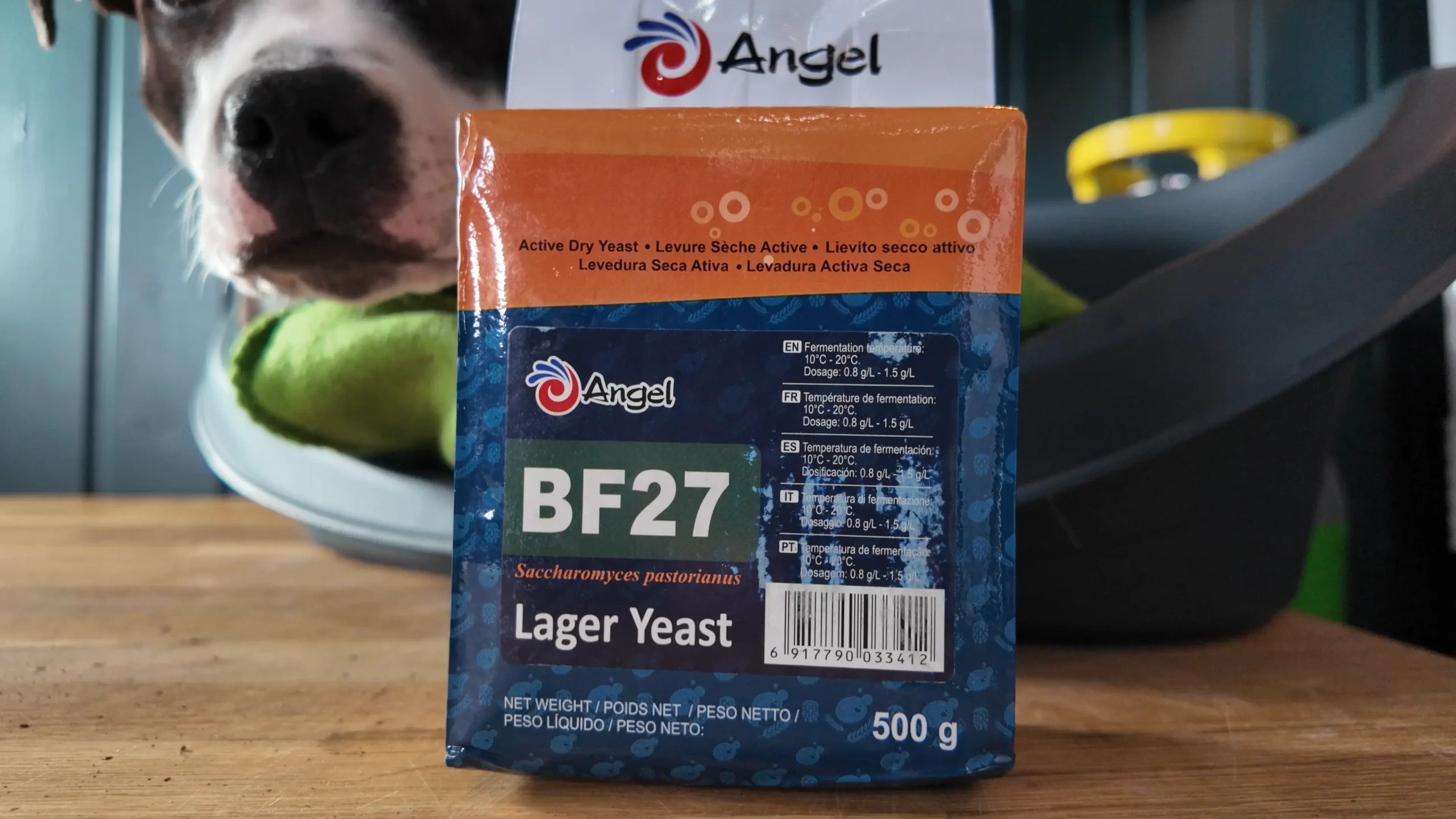 Angel Yeast BF27 DrHans Brewery