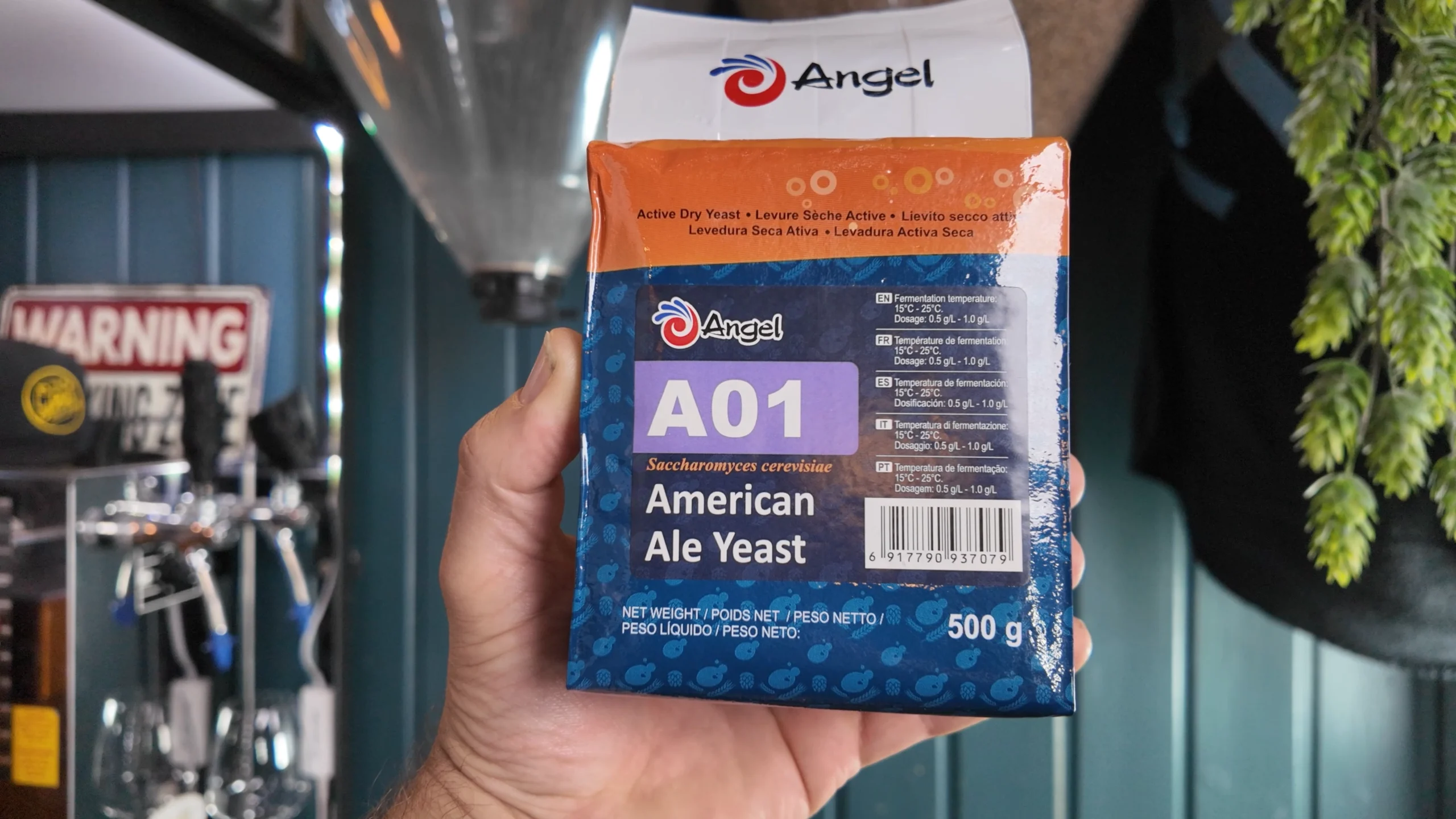 Angel yeast A01 copy