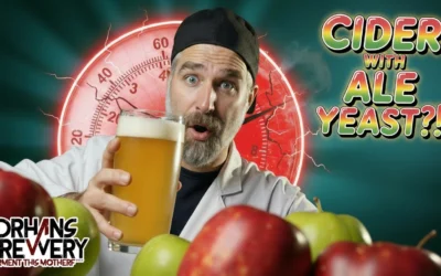 Brewing Cider with Beer Yeast? My Angel A01 Pressure-Fermented Test in the iGulu S1