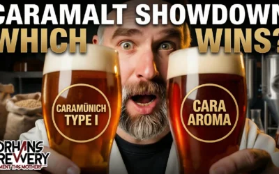 All Caramel Malts Aren’t the Same: Caramünich vs CaraAroma (Split-Batch Beer Experiment)
