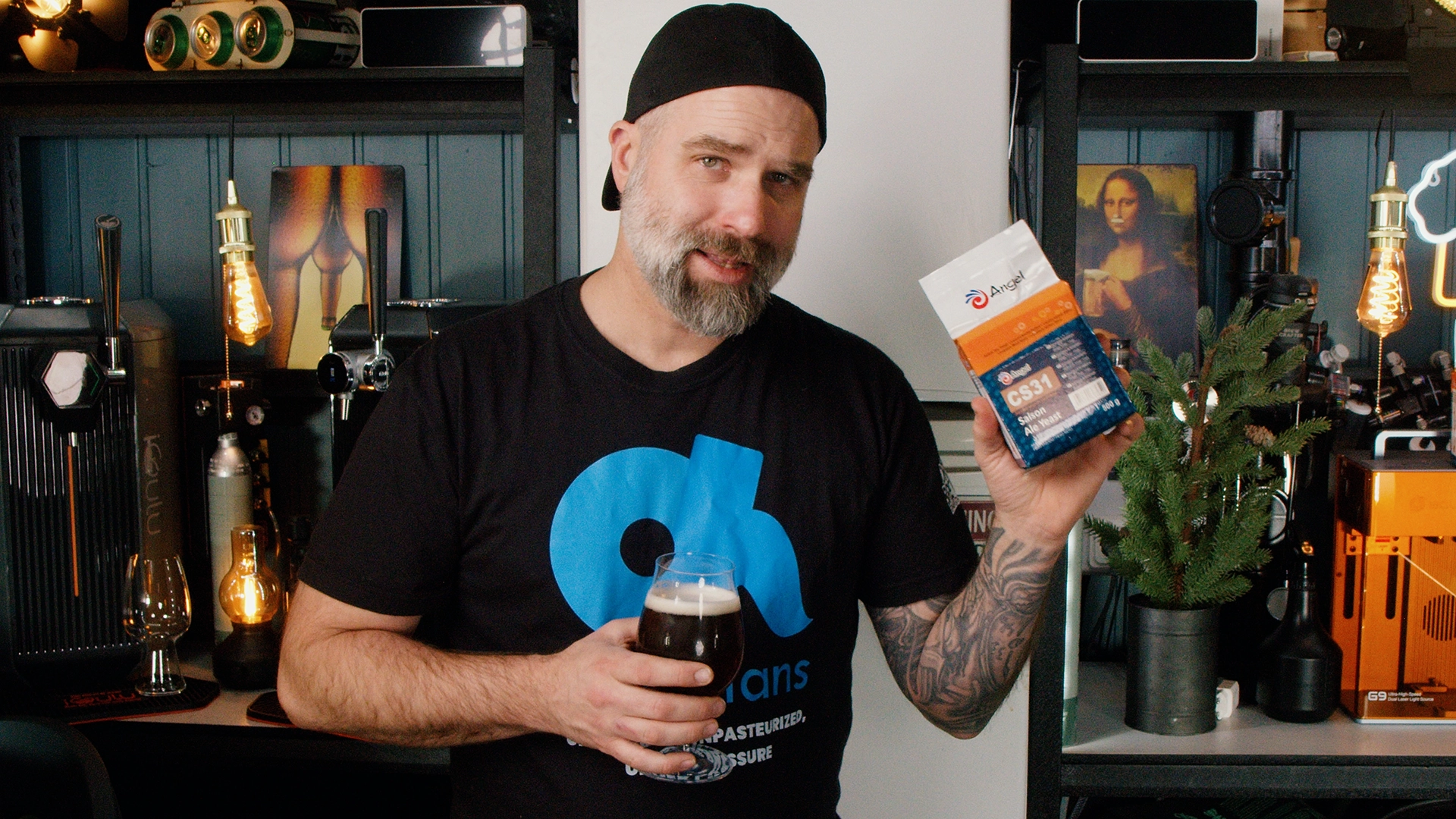 Saison Angel Yeast CS31