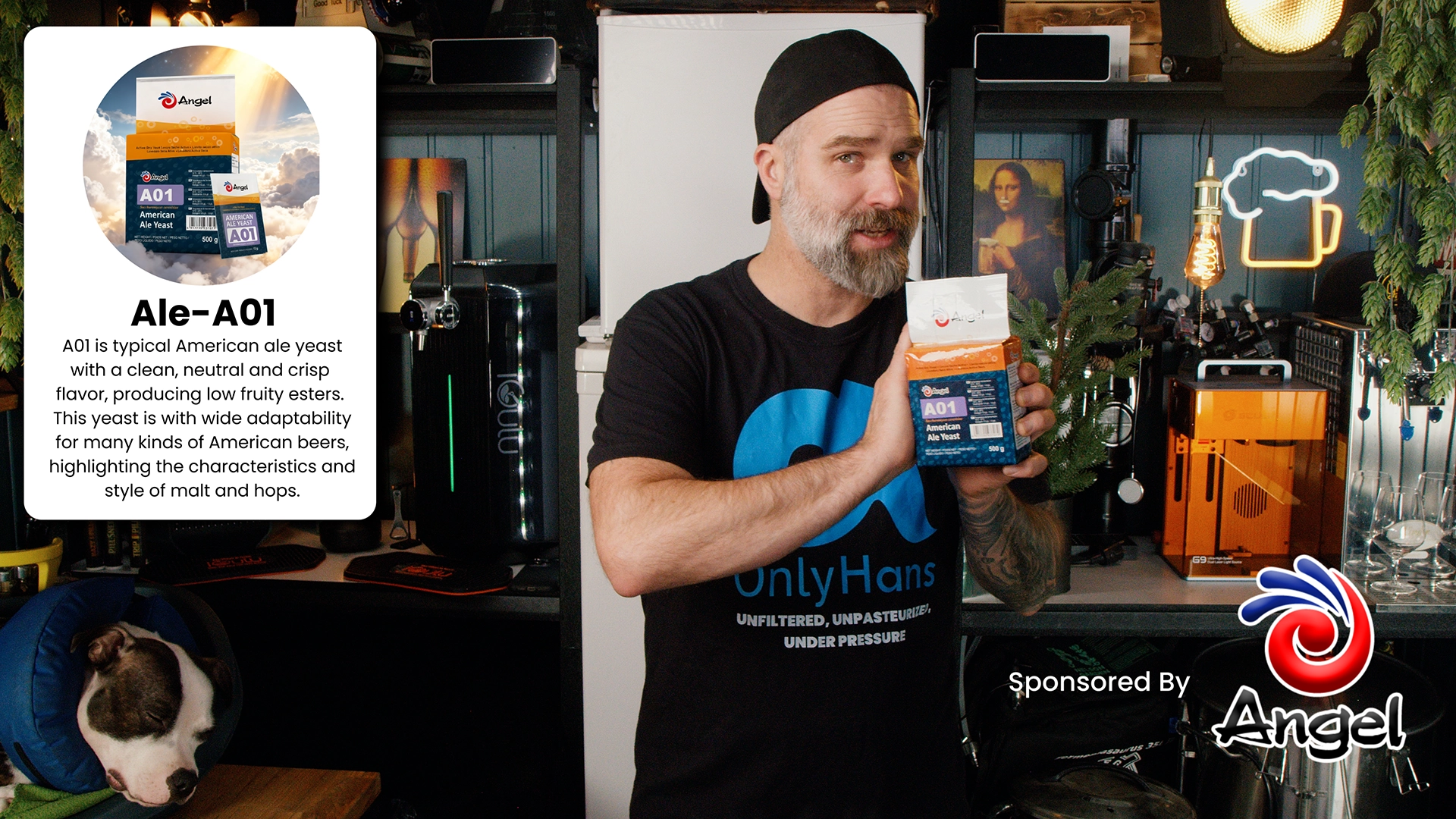 holding a pack of angel yeast a01 copy