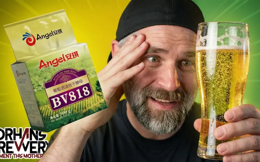 Angel yeast BV181 Cider