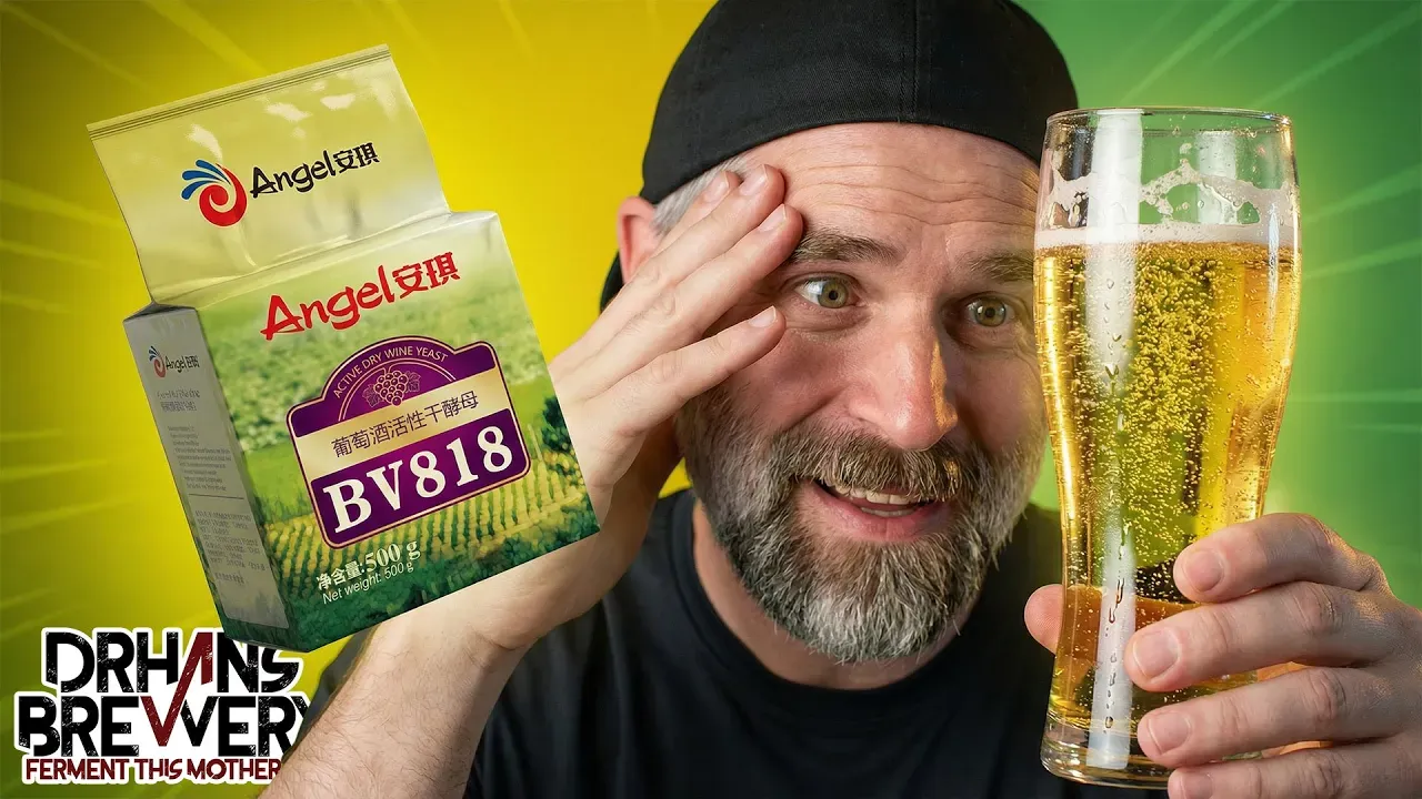 Angel yeast BV181 Cider