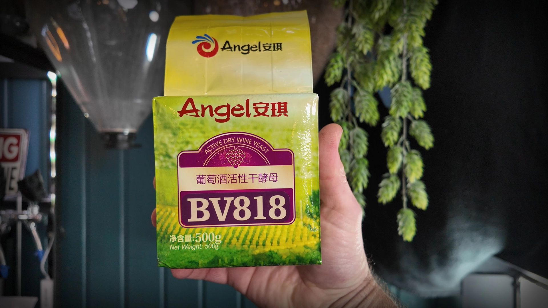 Angel yeast bv818 copy
