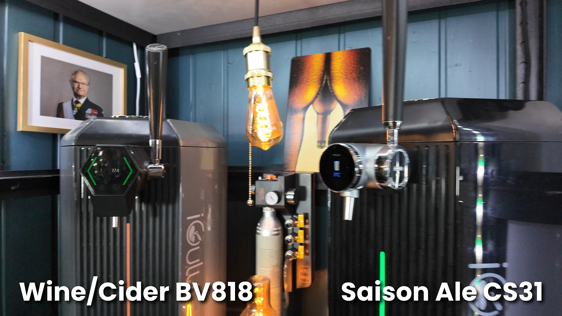 Cider fermentation setup comparing BV818 cider yeast and CS31 Saison yeast